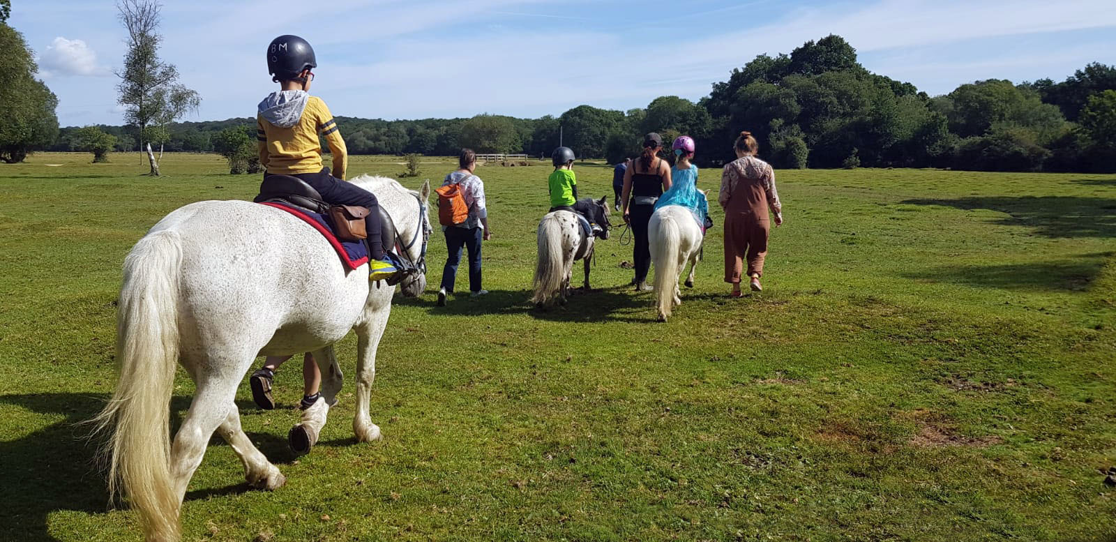 New Forest Horse Riding